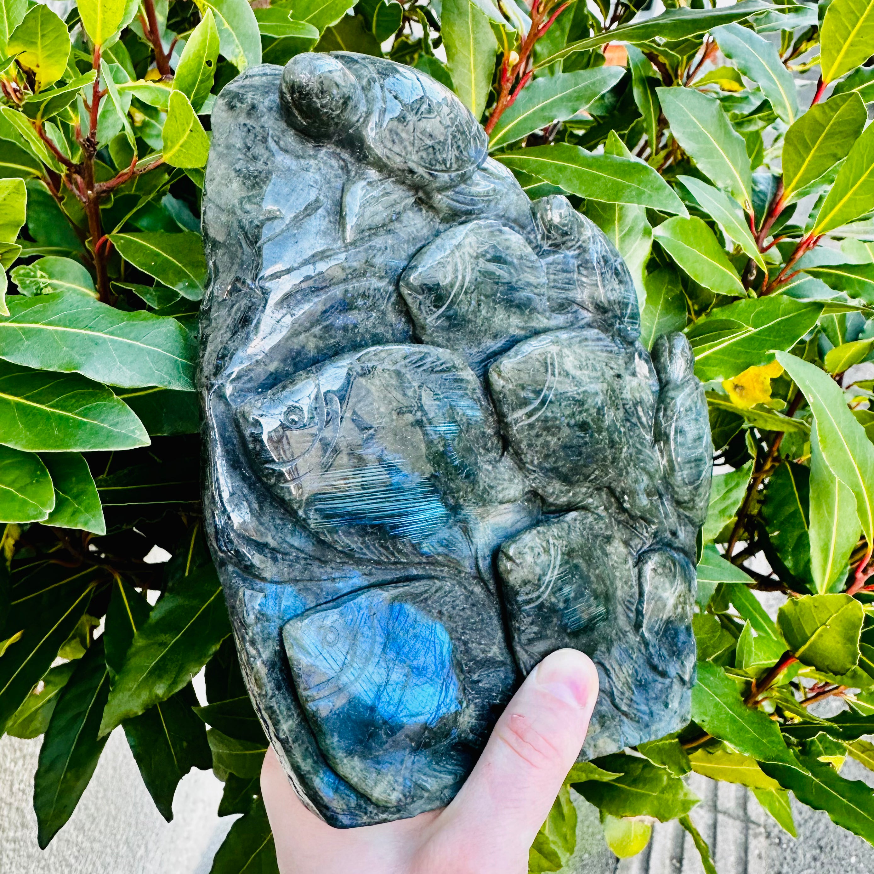 Carved Labradorite Fish And Turtles