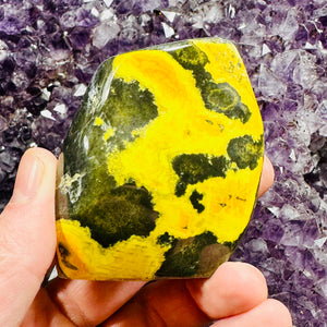 Bumblebee Jasper