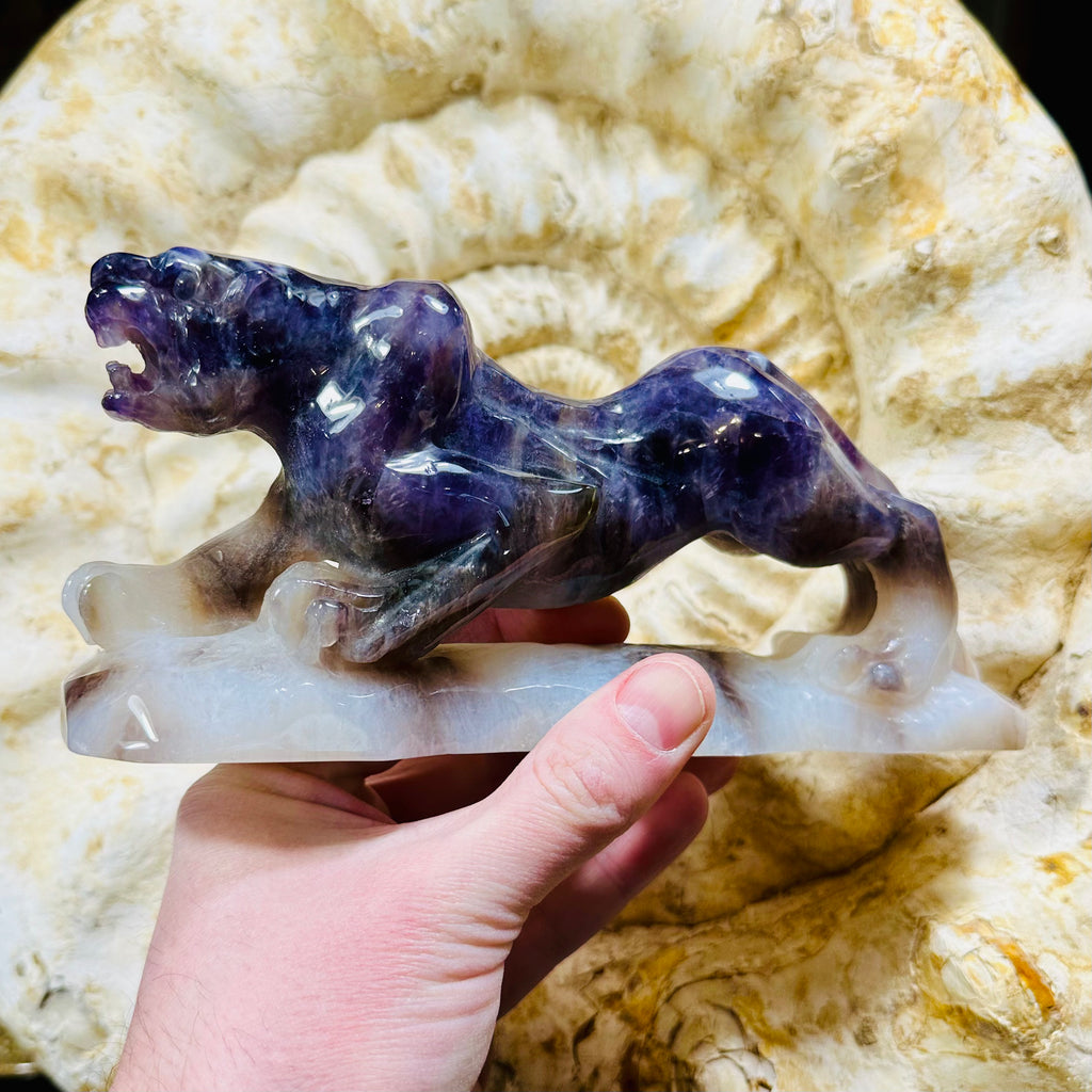 Dream Amethyst Tiger