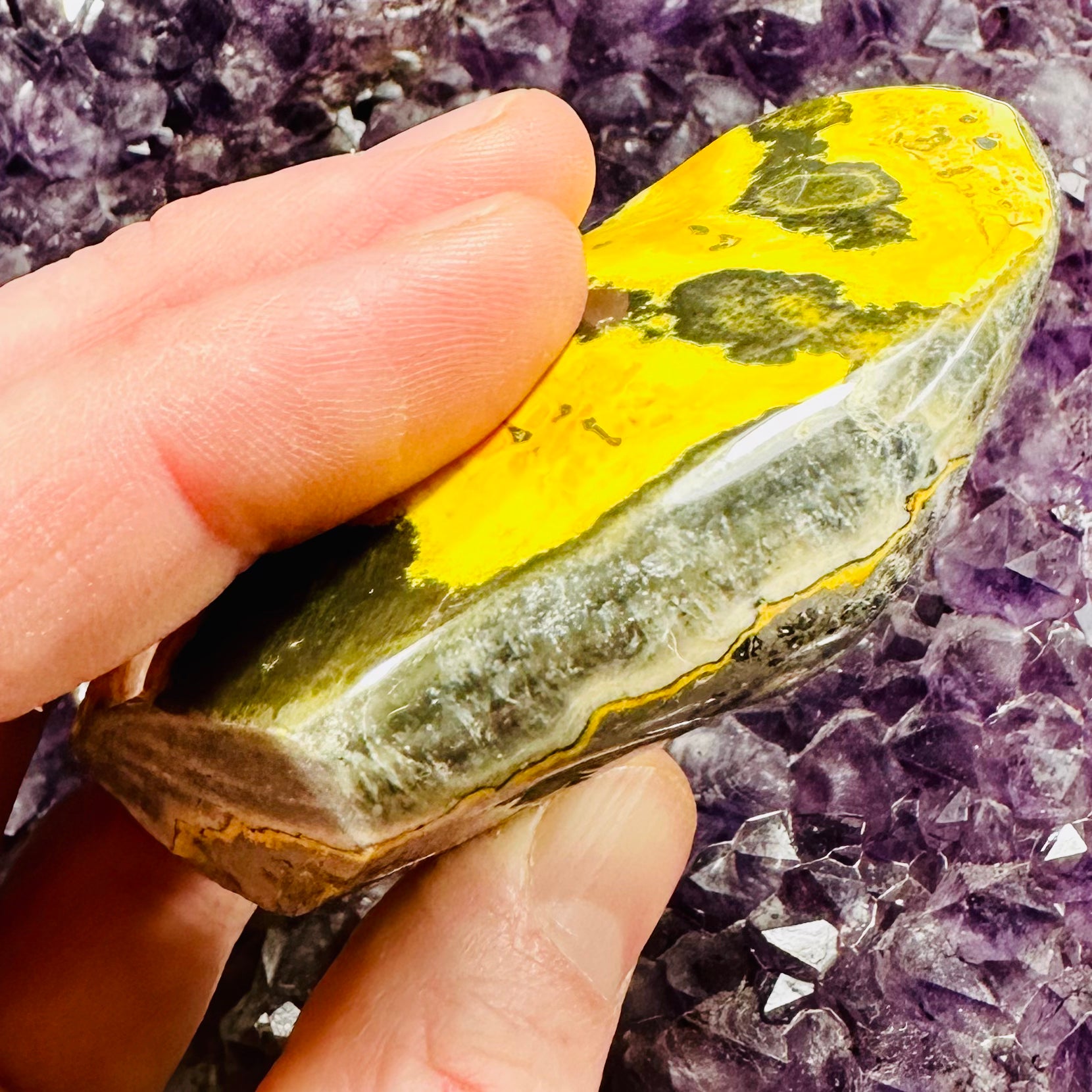 Bumblebee Jasper