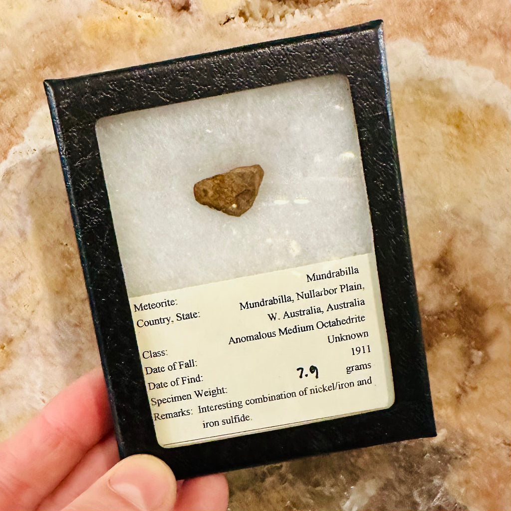 Mundrabilla Meteorite