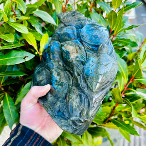 Carved Labradorite Fish And Turtles