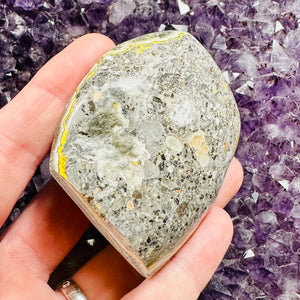 Bumblebee Jasper