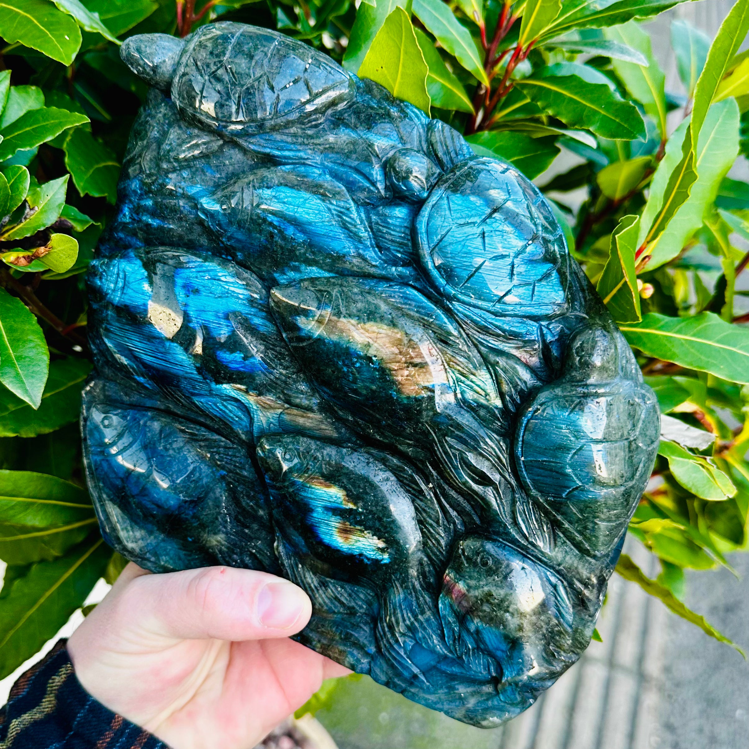 Carved Labradorite Fish And Turtles