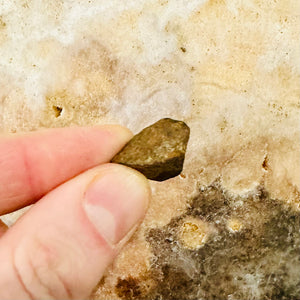 Mundrabilla Meteorite