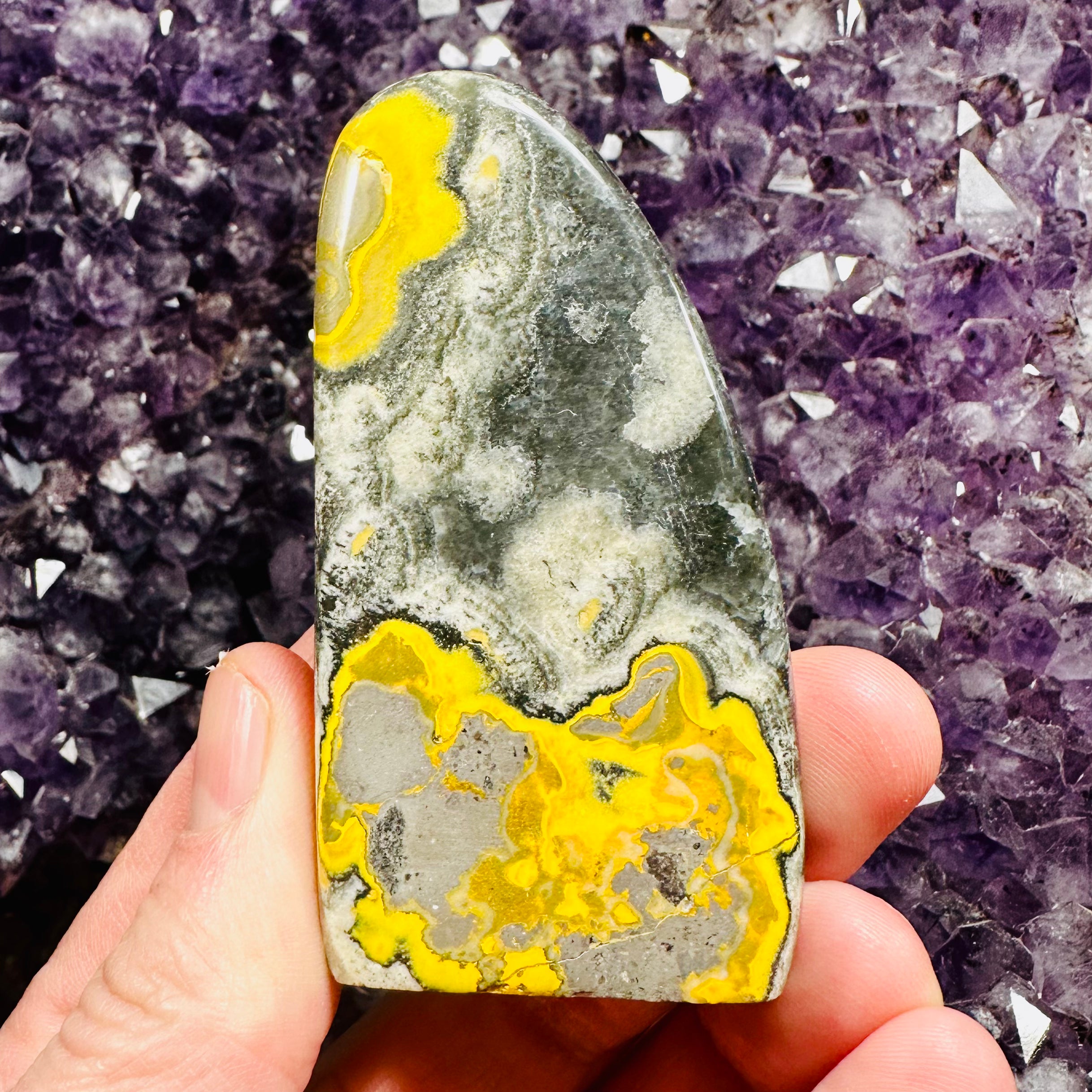 Bumblebee Jasper Freeform