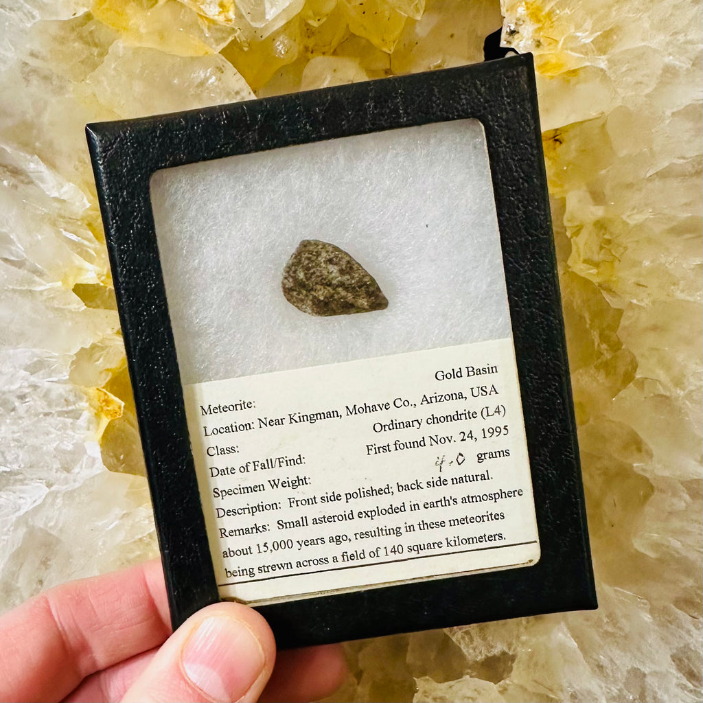 Gold Basin Meteorite