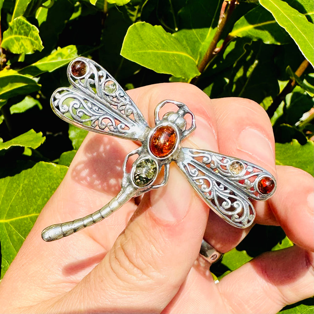 Amber Dragonfly Pendant/Brooch