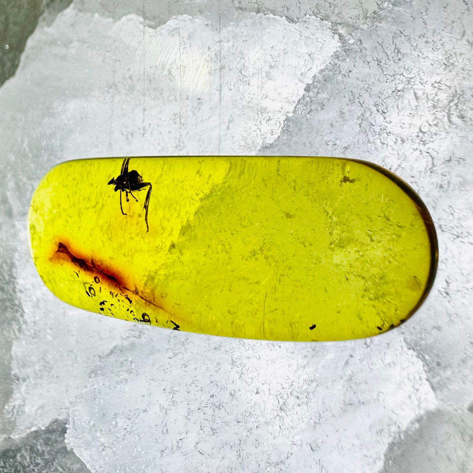 Fly Trapped In Amber