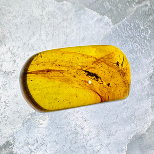 Fly Trapped In Amber