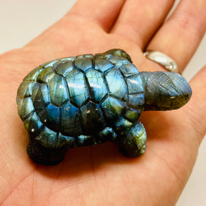 Hand Carved Labradorite Tortoise