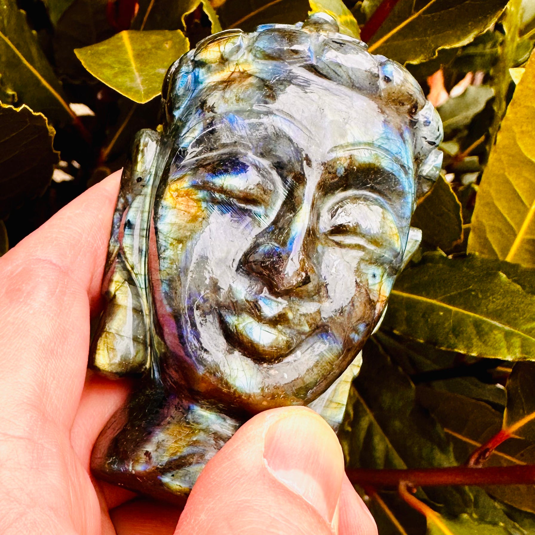 Carved Labradorite Buddha Head