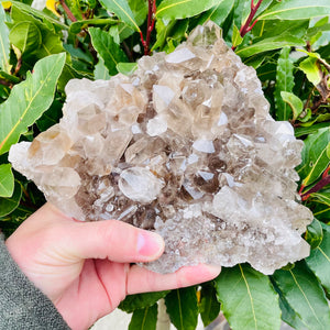 Smokey Quartz Cluster