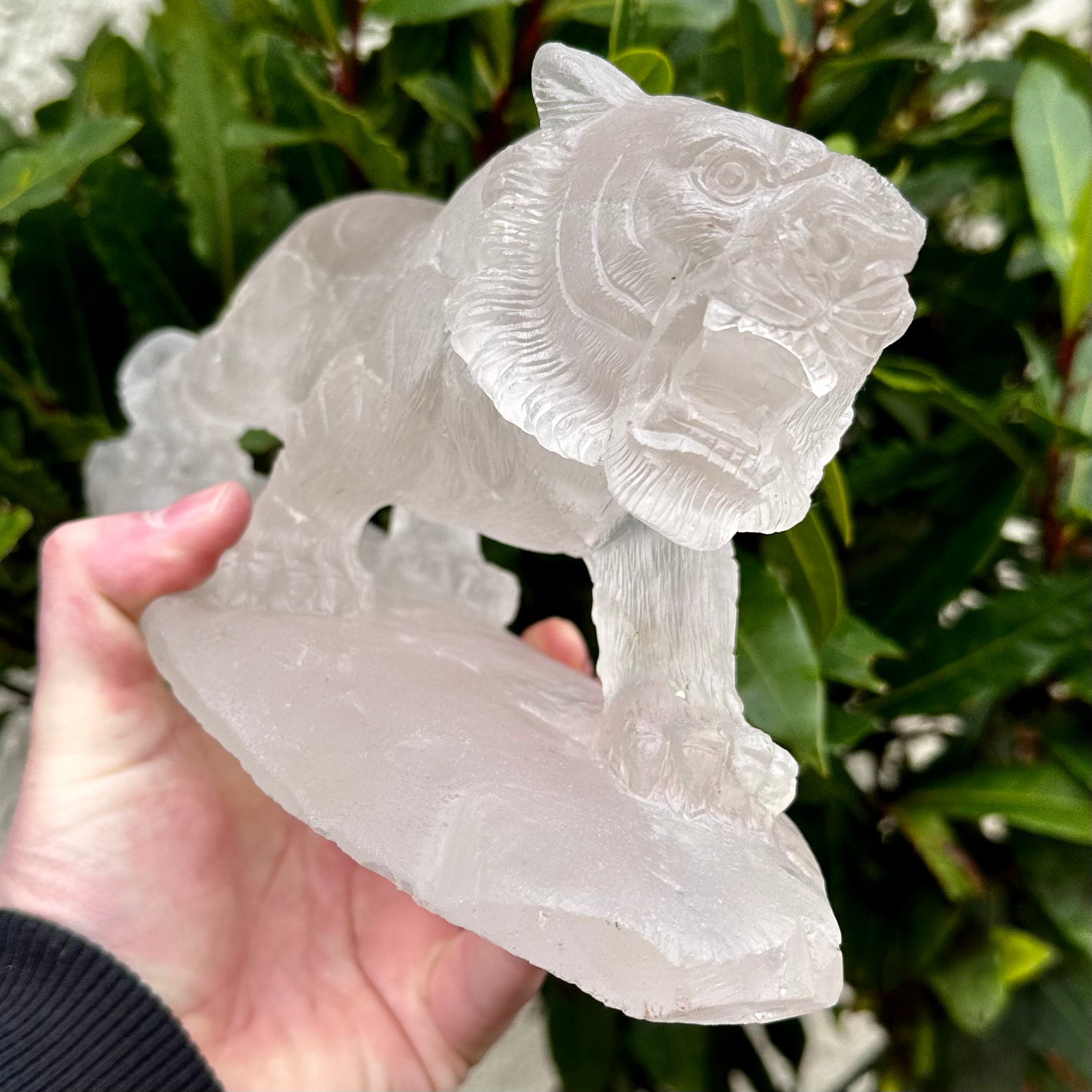 Large Quartz Tiger