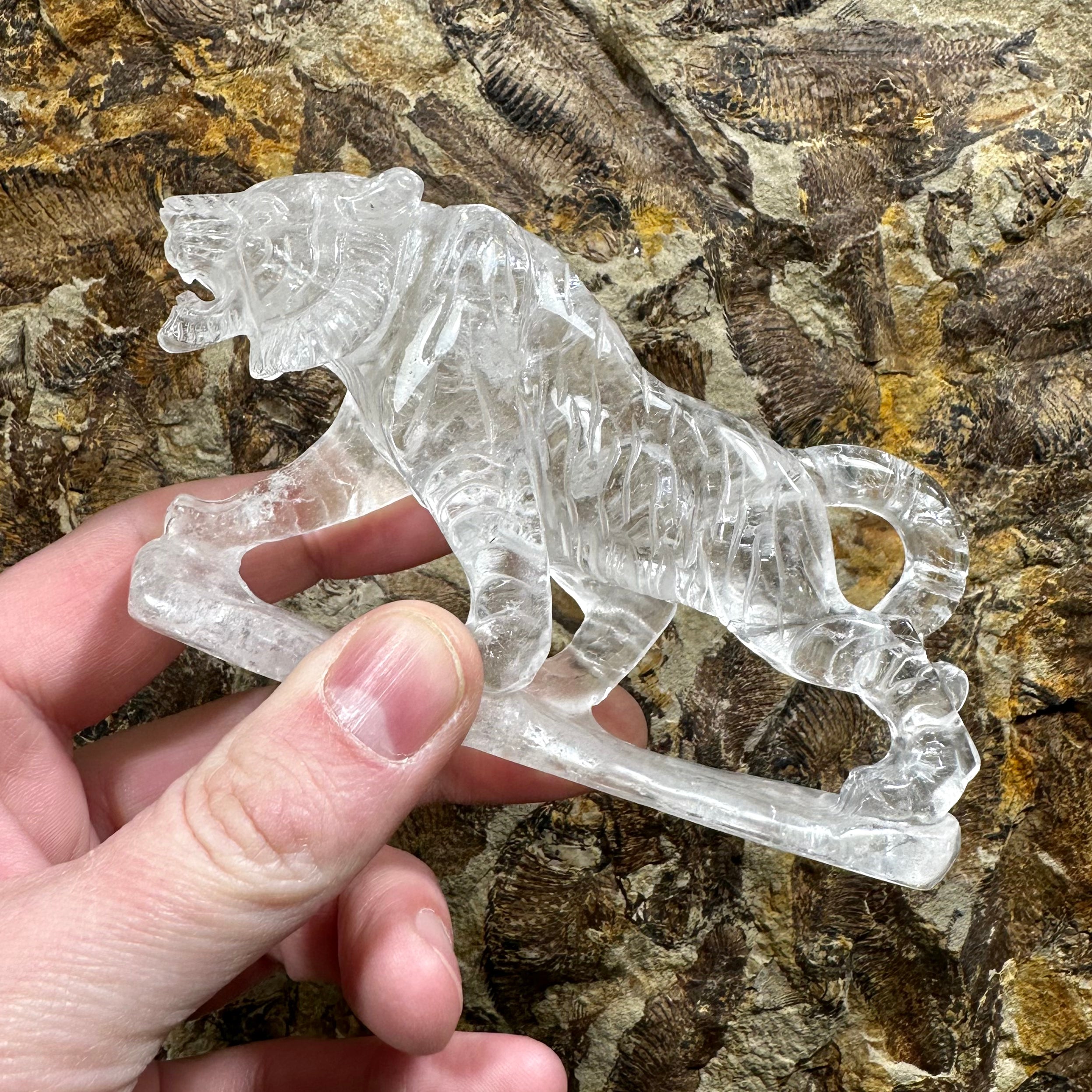 Clear Quartz Tiger