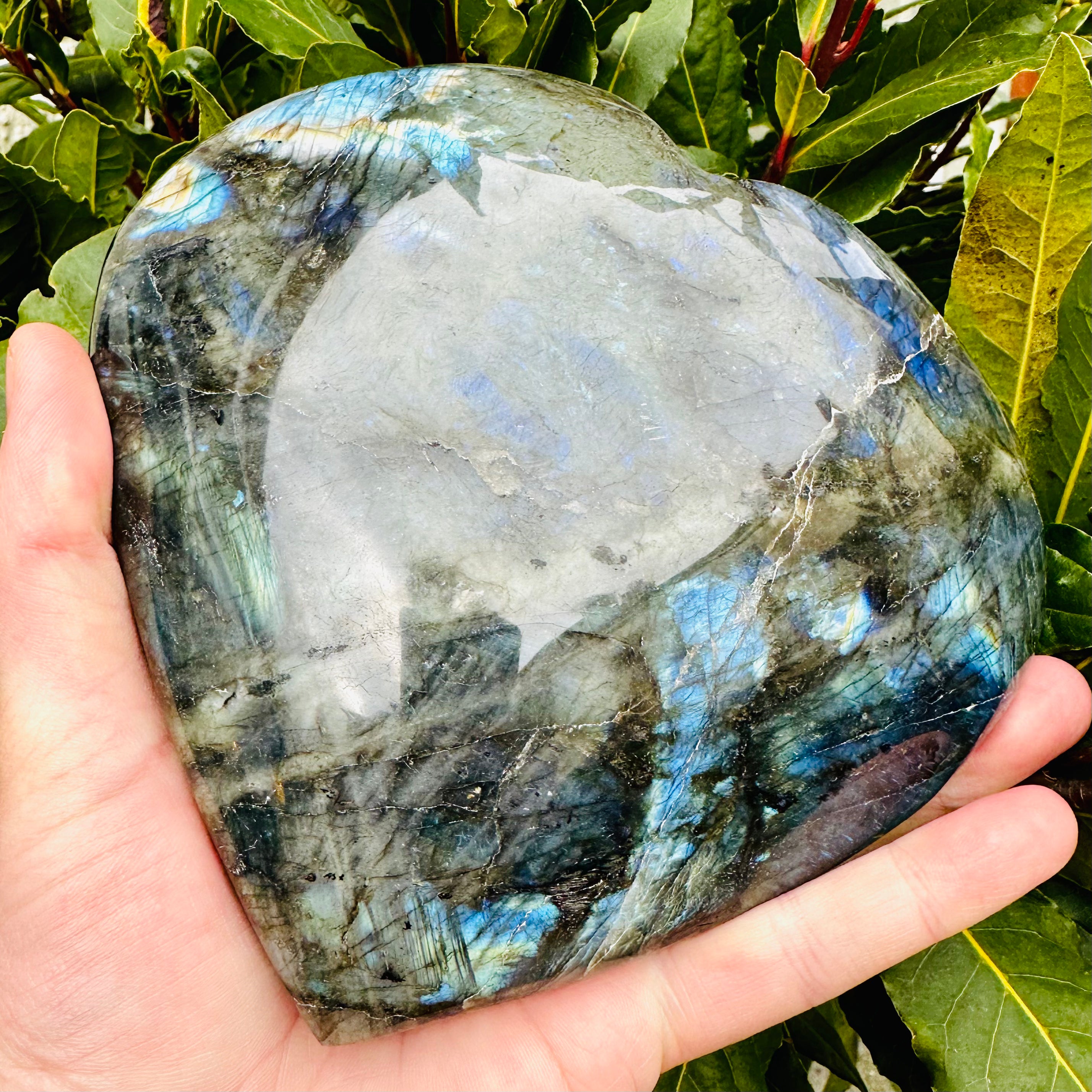 Large Labradorite Heart