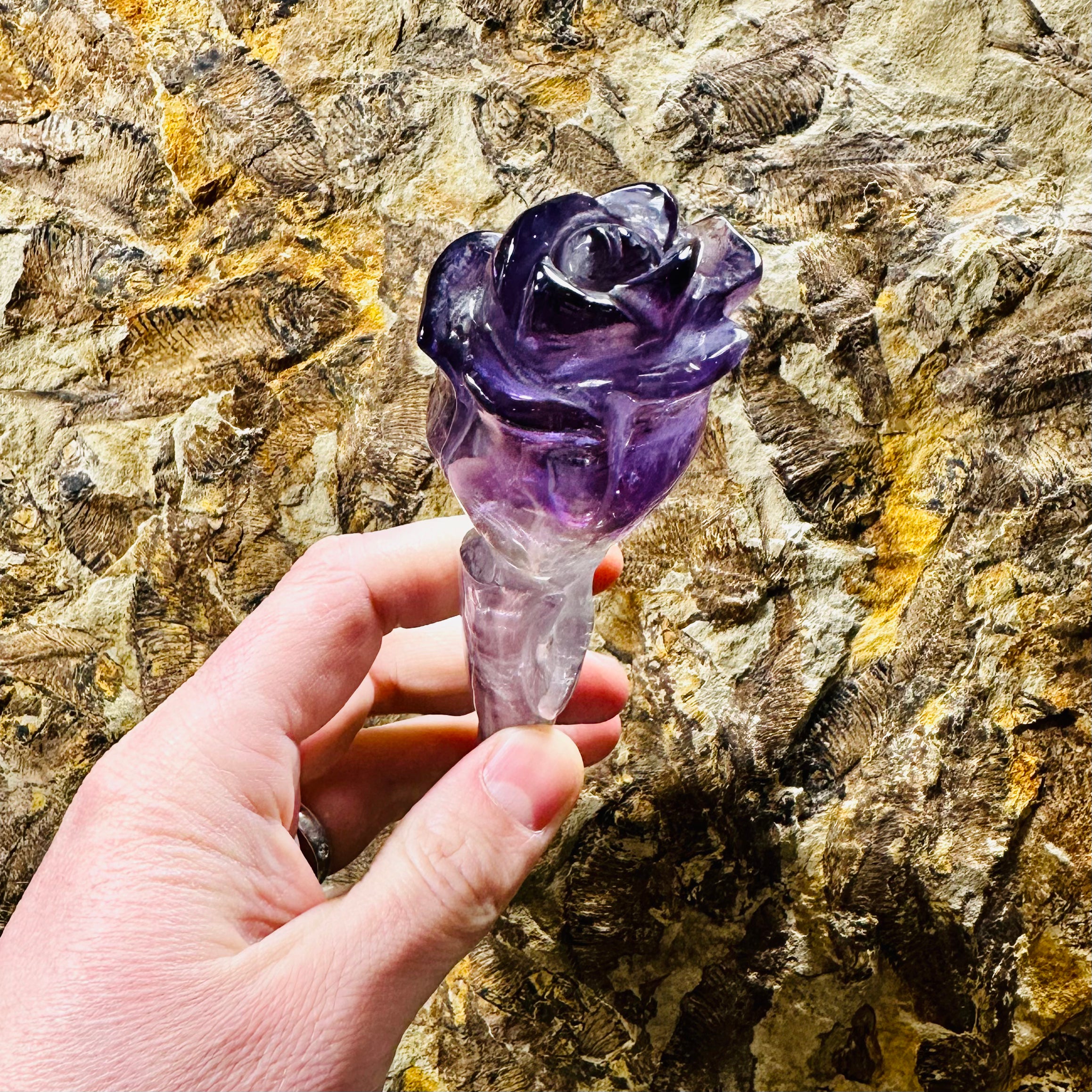 Amethyst Rose