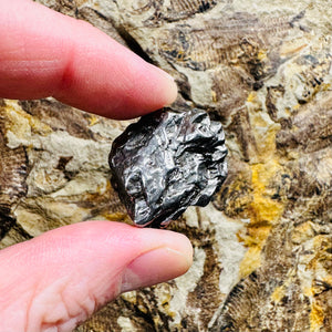 Campo Del Cielo Meteorite