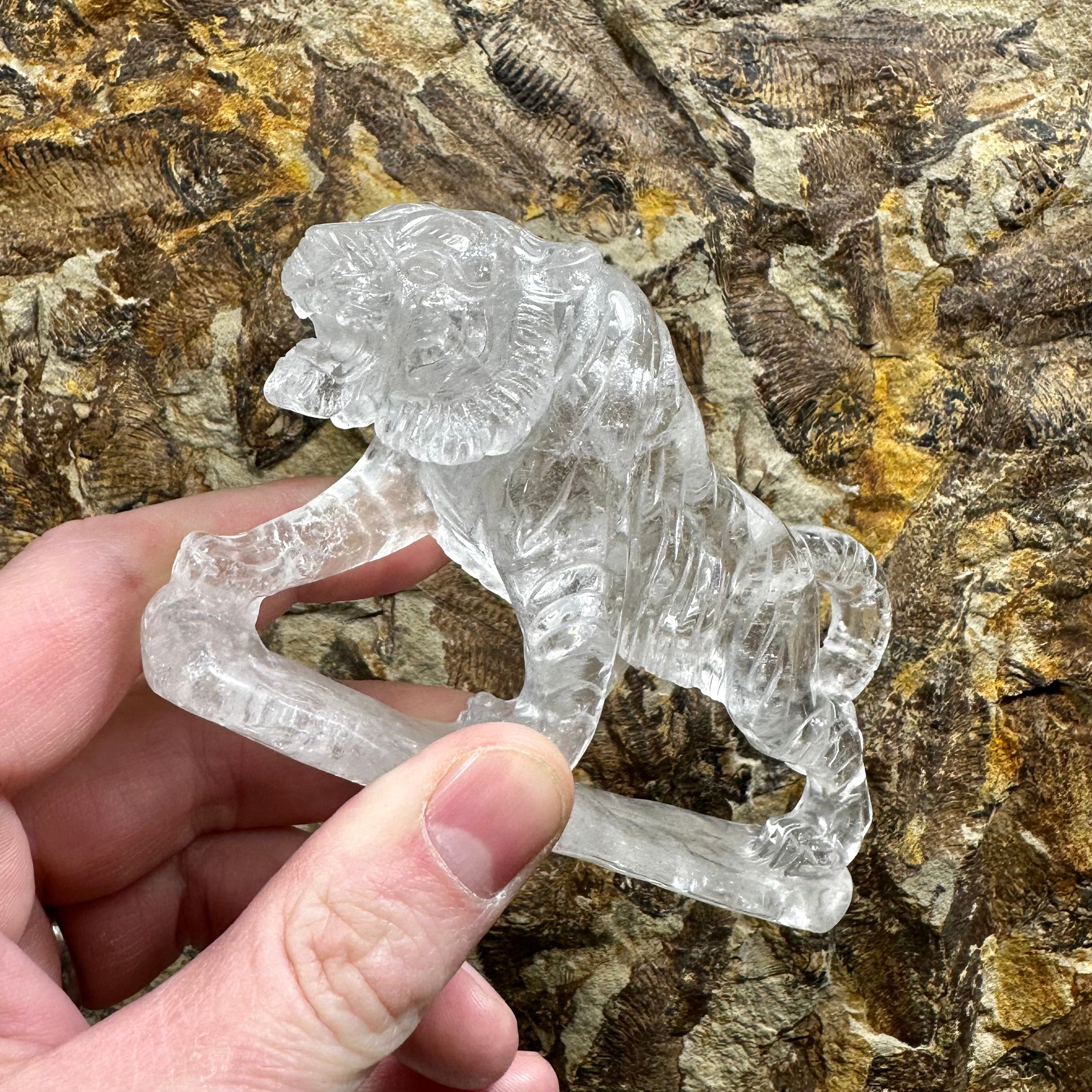 Clear Quartz Tiger