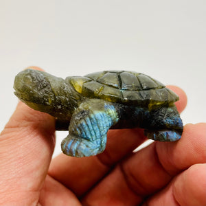 Hand Carved Labradorite Tortoise