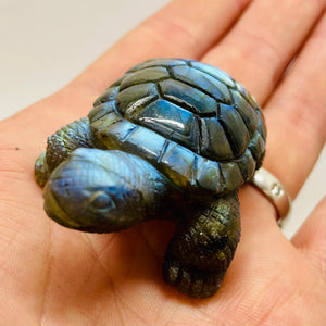 Hand Carved Labradorite Tortoise