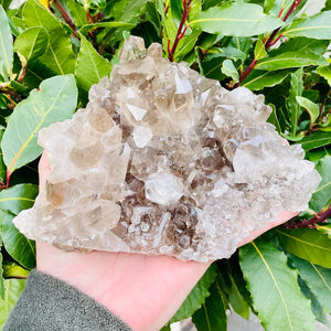 Smokey Quartz Cluster