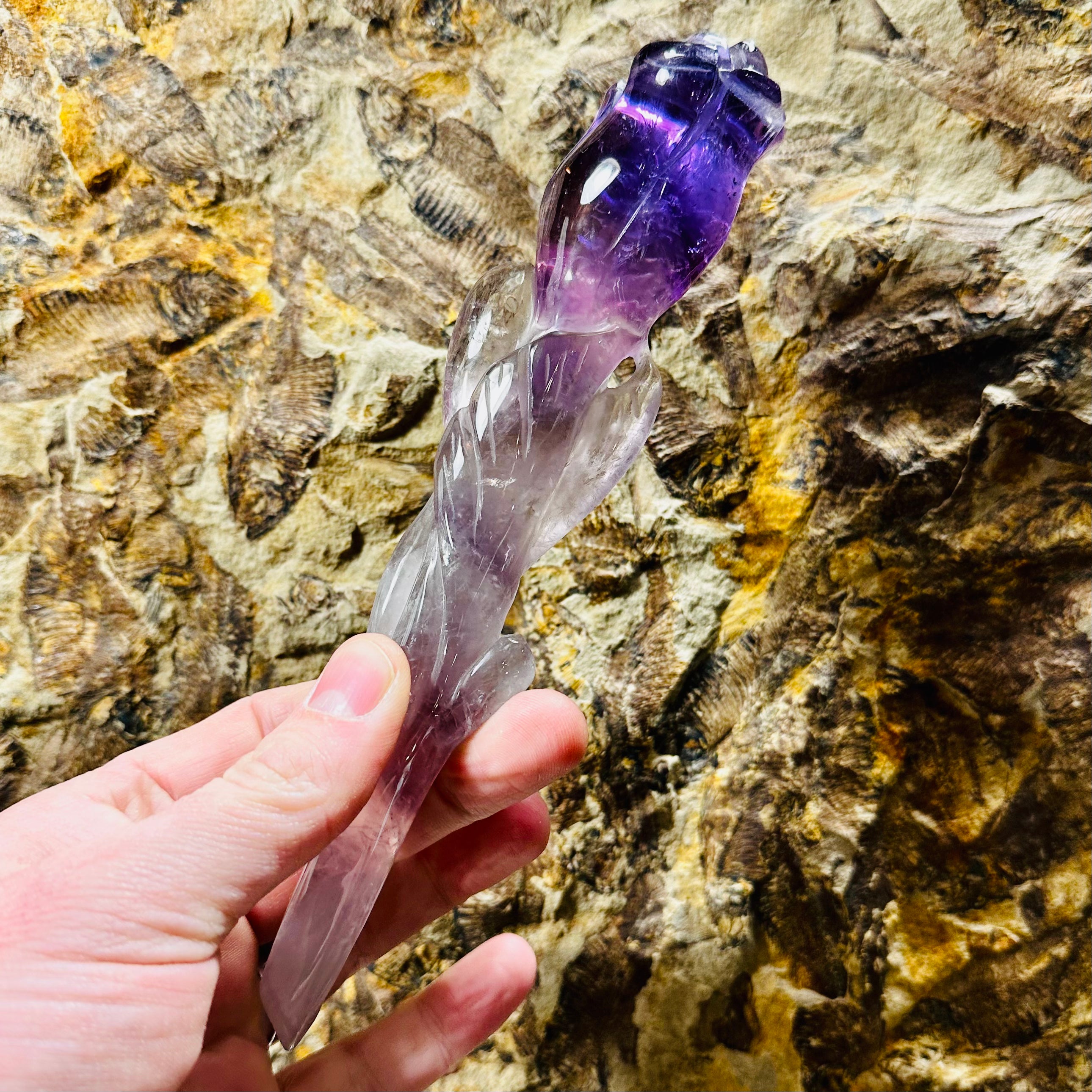 Amethyst Rose