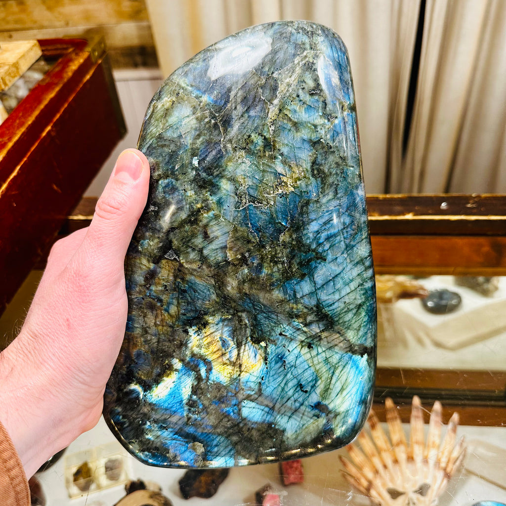 Large Labradorite Freeform