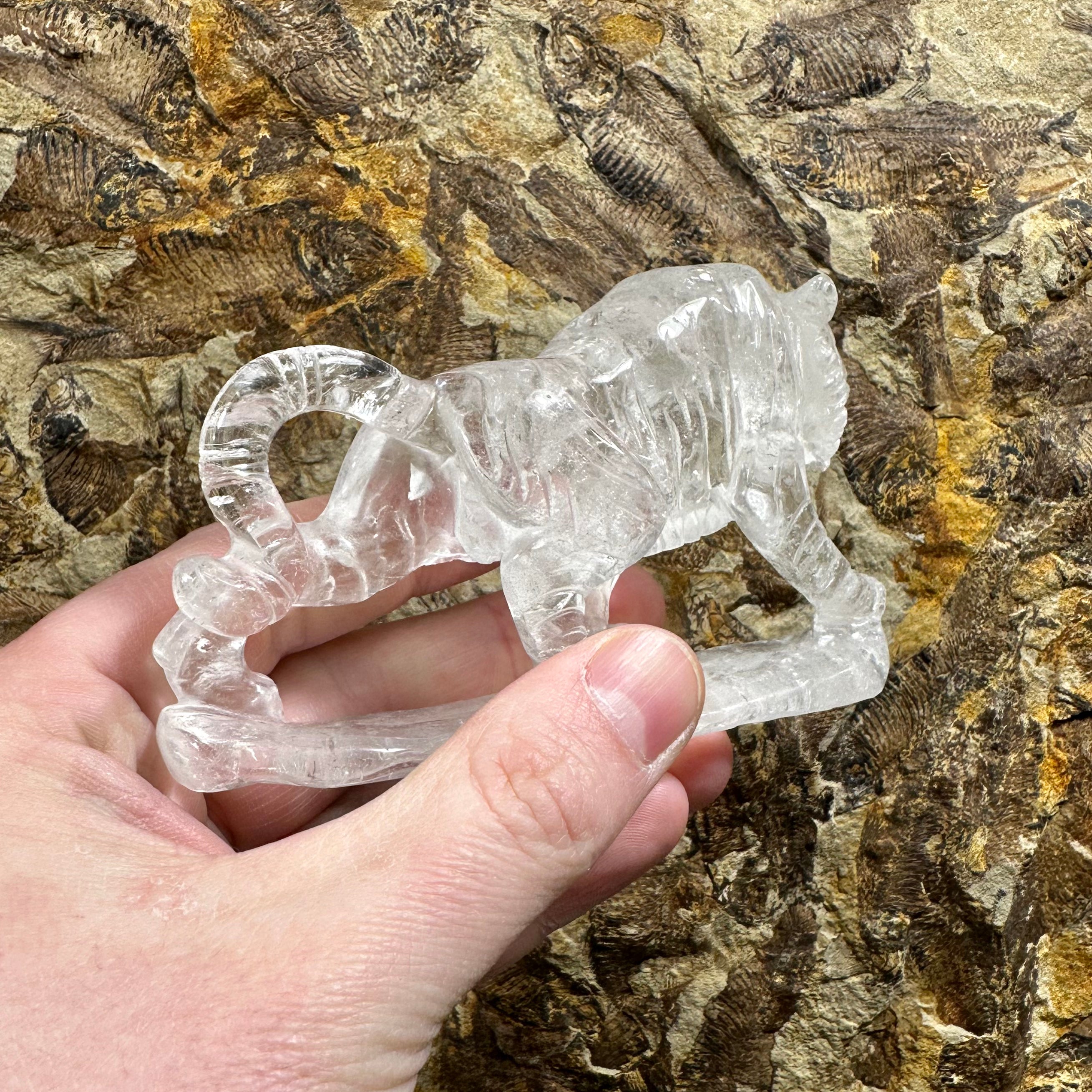 Clear Quartz Tiger