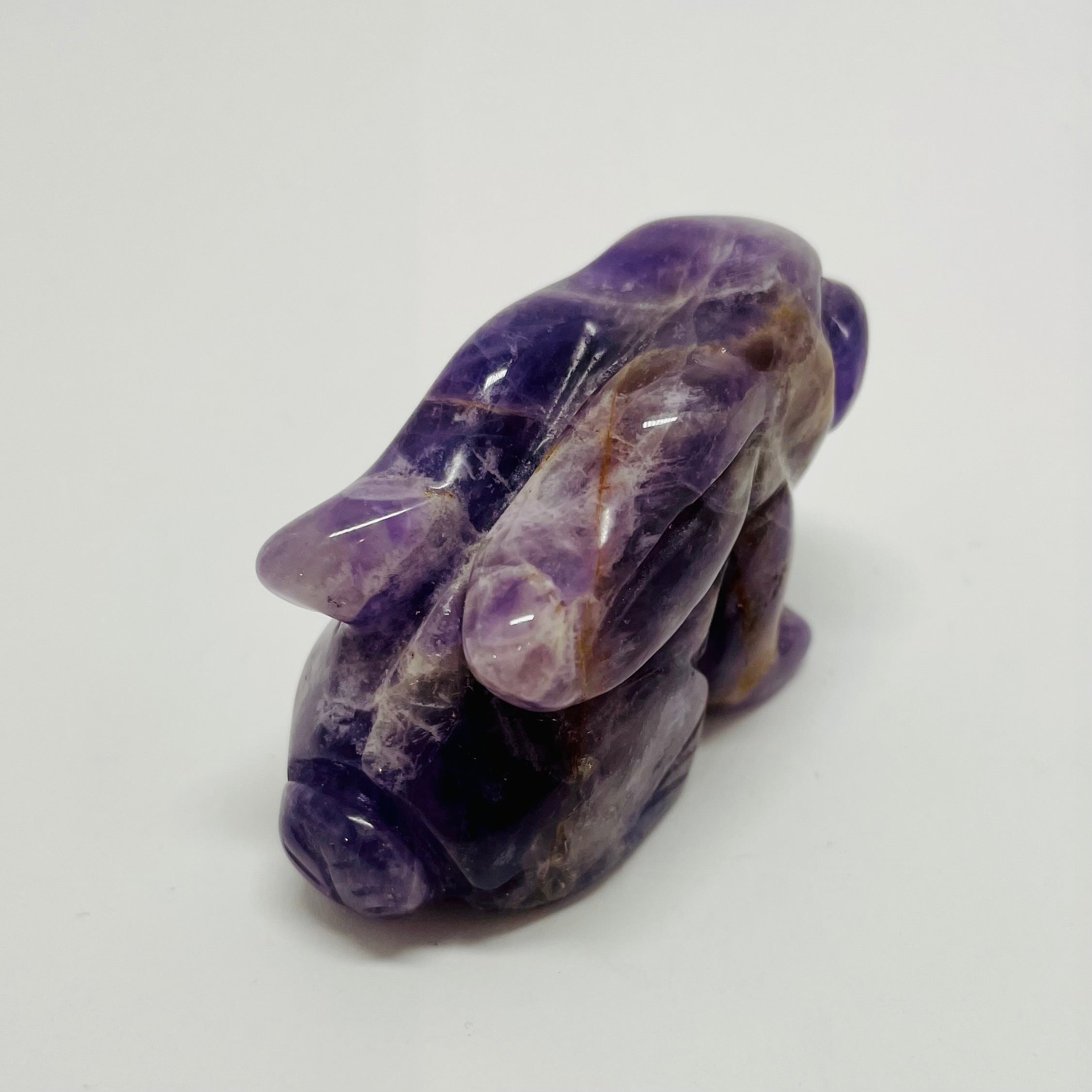 Amethyst Hare