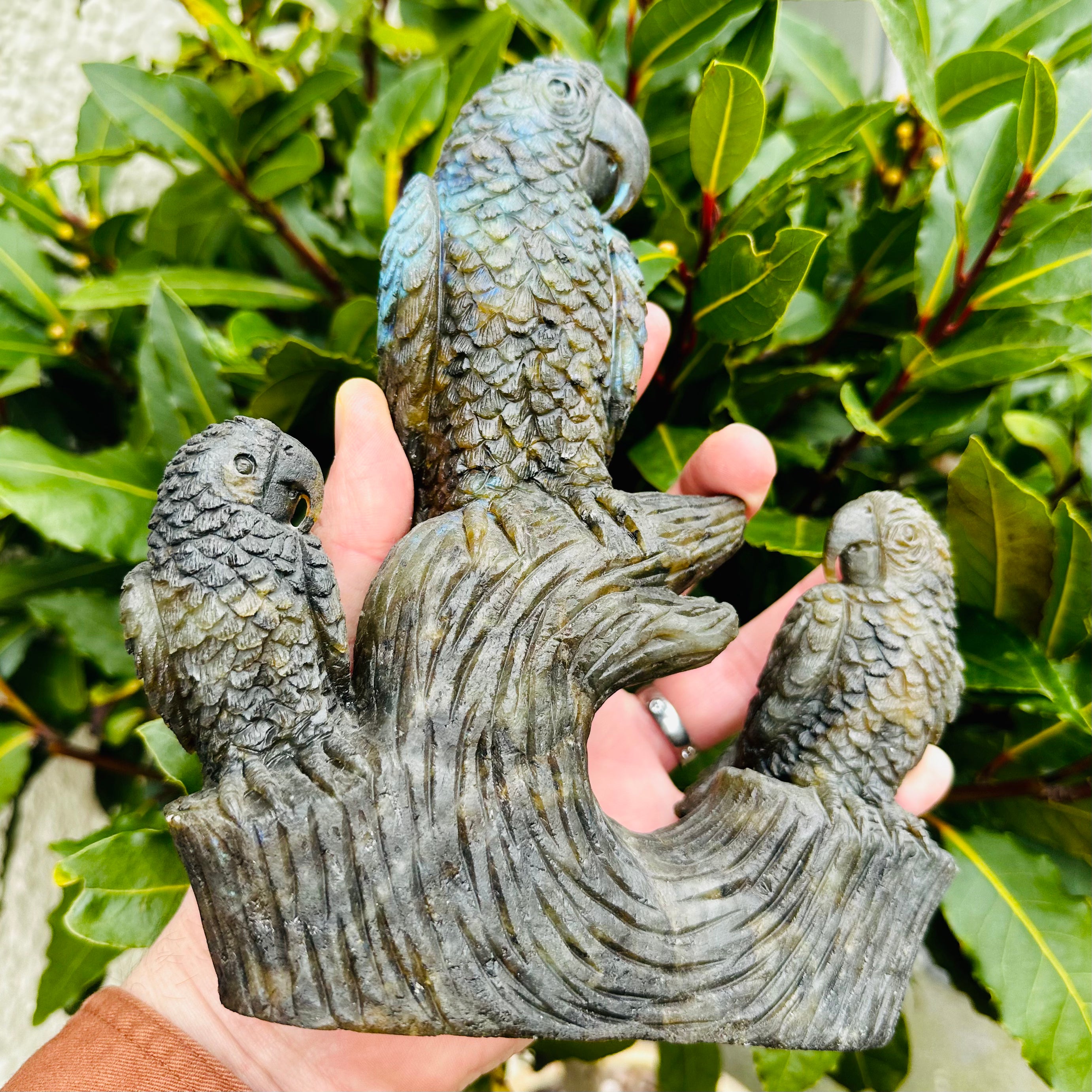 Carved Labradorite Parrots